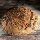 Vollkornbrot